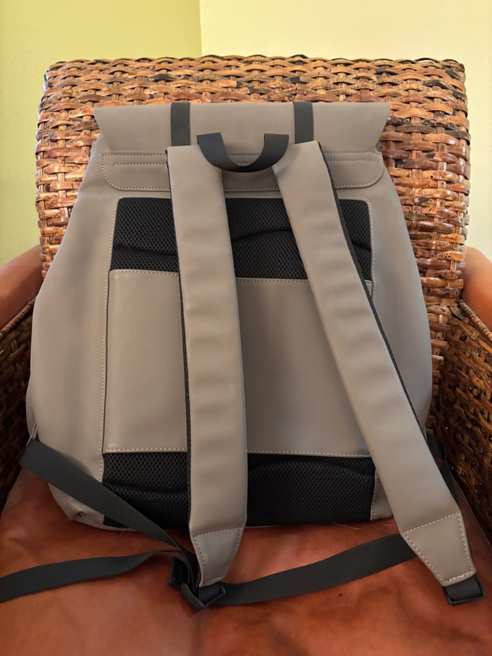 Duchamp Taupe Backpack- waterproof- travel, laptop, bike commuting - Picture 2 of 6